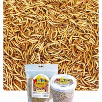 Dried Mealworms