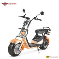 Electric Harley Scooter (CP5)