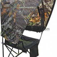 Canopy Chair