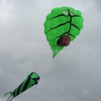 3182 Leaf kite