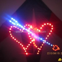 4313 Double heart