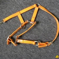 horse bridle -TPU horse bridle