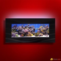 Wall mounted aquarium Home Decor