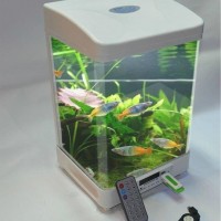 fish farm tank