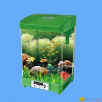 mini fish tank