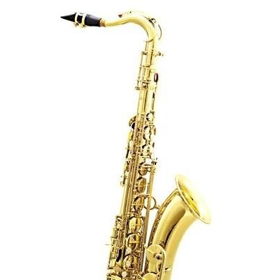 Tenor sax,like Selmer 802,electrophoresispicture1