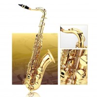 Tenor sax,like Selmer 802,gold plated body & keys.