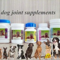 Nutritional Dog Joint Supplement