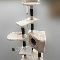 cat tree, cat toys, pet toys