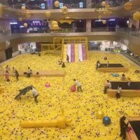 Most popular indoor playground million of sea ball playground