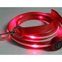 LED light dog leads