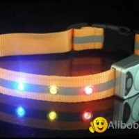 LED light dog collar