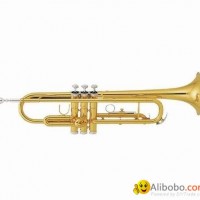 Trumpet/Pocket Trumpet /Bach Trumpet