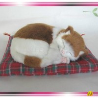 Sleeping Brown and White Cat On Blanket