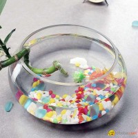 Glass Fish Bowl