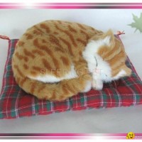 Sleeping Tabby Cat On Blanket