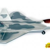 F-22 Raptor fighter with Twin 55mm Jet ( rc aircraft )