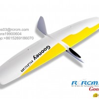 Gooney new composite rc airplane of rcrcm