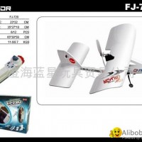 Mini RC Airplane