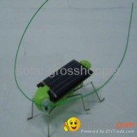 Solar Grasshopper