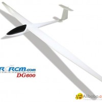 DG600 scale rc airplane of rcrcm