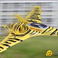 RTF model airplane Jetiger (hobby)