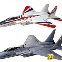 RTF model airplane F-15 fighter (hobby)