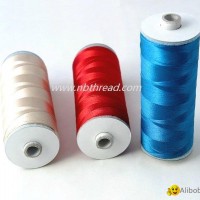 Polyester Schiffli embroidery thread