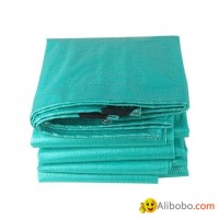 GREEN TARPAULIN