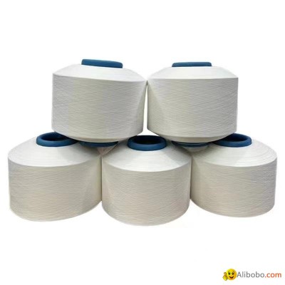 150/48f +40d Spandex Air Covered Spandex Polyester Yarn for Sockspicture1