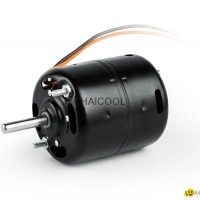 DC MOTORS-FW75