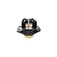 7700434370 Engine Mounting for Renault