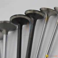 All Kinds Of High Quality Engine Valves