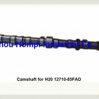 Engine Camshaft for Nissan H20 12710-85FAO