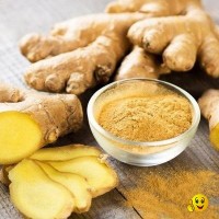 Fitaky Ginger Powder Wholesale Price