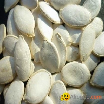 Snow White Pumpkin seeds In Shellpicture1