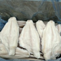 Frozen channel catfish fillets