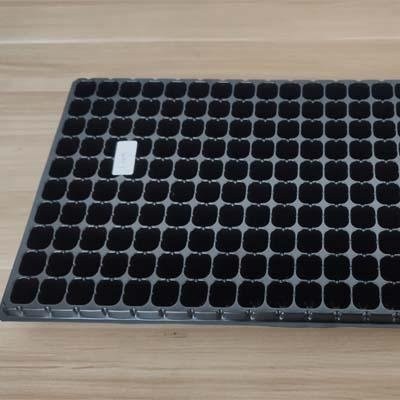 Seedling tray seed propagator for seed starter 200 cellpicture1