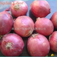 FRESH PINK ONION