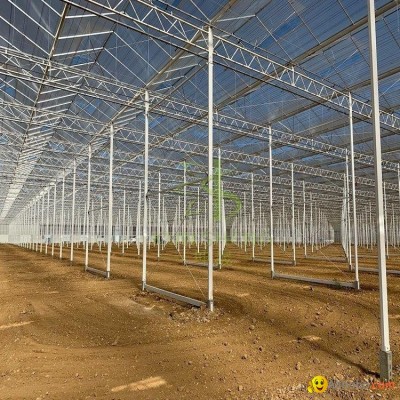 Natural Ventilation Greenhousepicture1