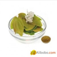 EPIMEDIUM EXTRACT