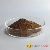 RHODIOLA ROSEA EXTRACT