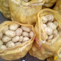 2022 New Crop Chinese Fresh Potato