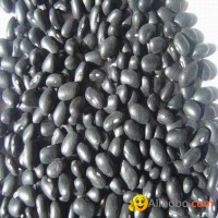 Black Kidney beans