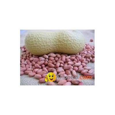 Natural Cheap Peanuts (Groundnut) From Africapicture1