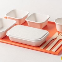 Sugarcane Tableware