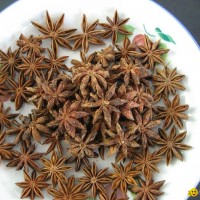 Star aniseeds