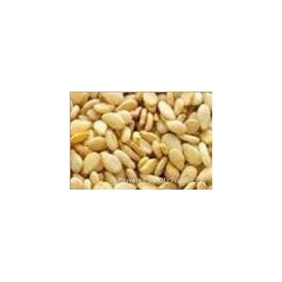 Sesame seed for salepicture1