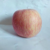 Fuji apples