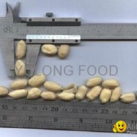 blanched peanut kernels